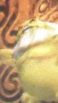 video usuario 1
